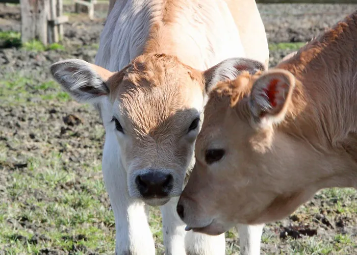 팜스테이 Le Soleil *