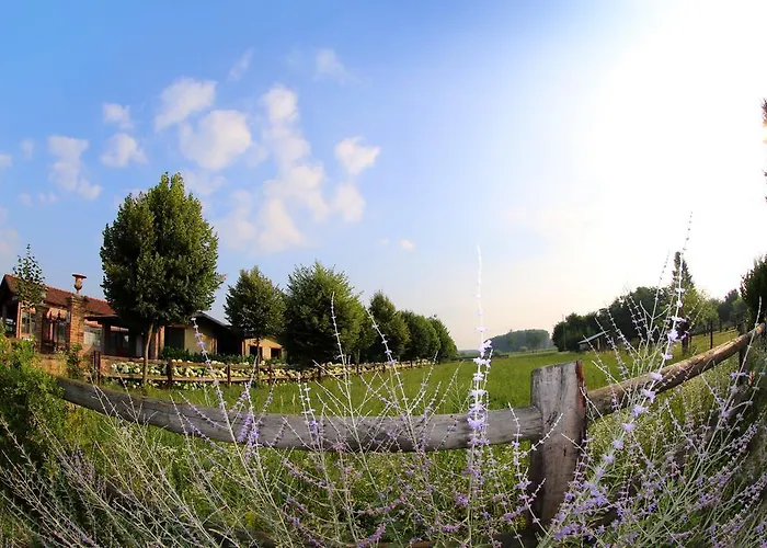 Feriegård Le Soleil Vigone