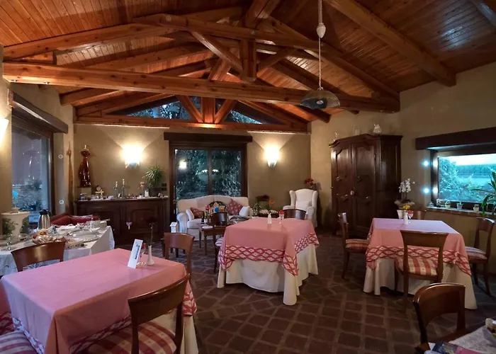 Le Soleil * 비고네